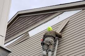 Best Insulated Siding Installation  in Moore Haven, FL